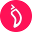 CHZ图标